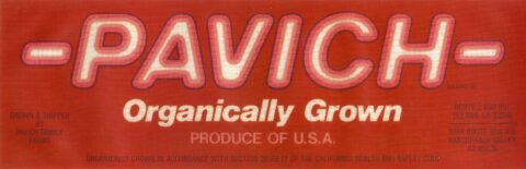 Pavich
