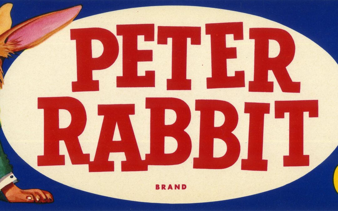 Peter Rabbit