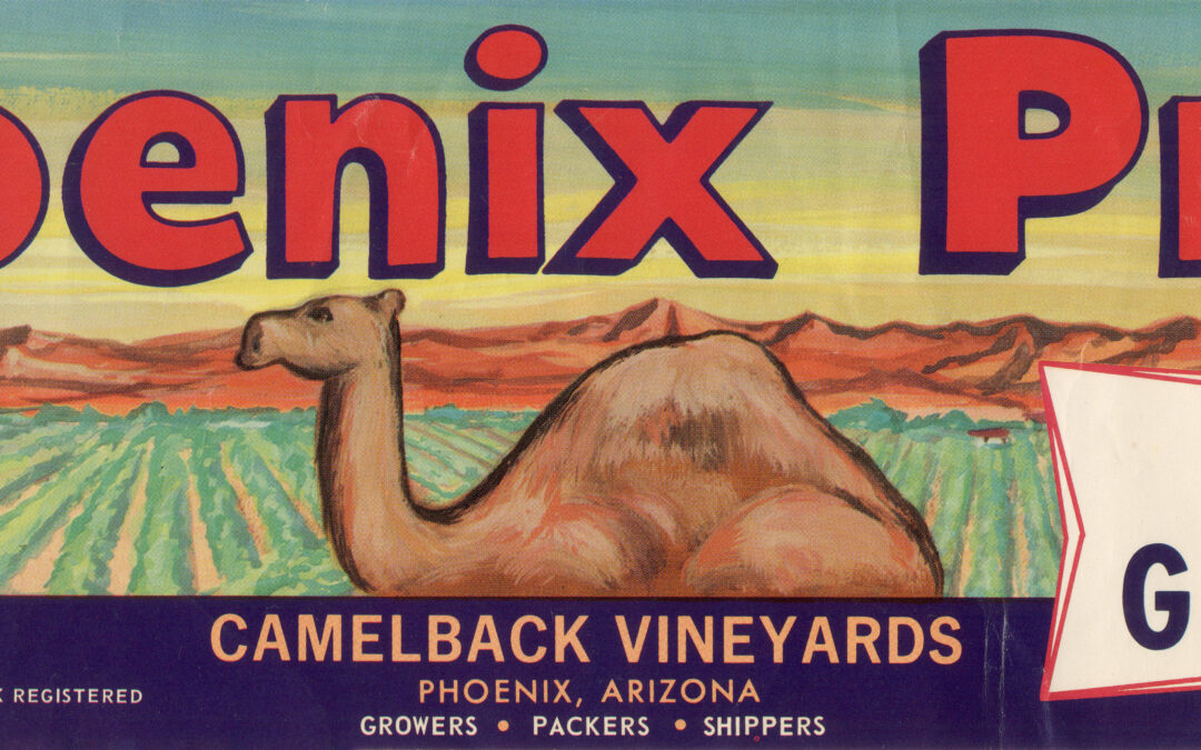 Phoenix Pride