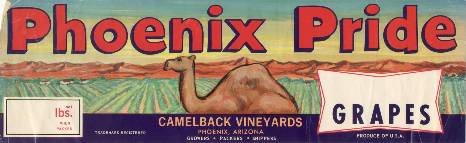 Phoenix Pride