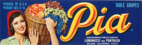 Pia