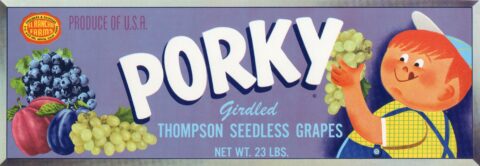 Porky