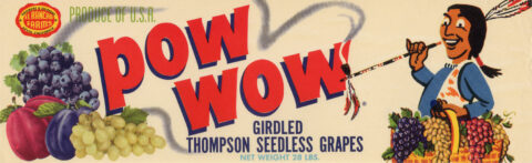 Pow Wow