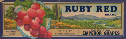 Ruby Red