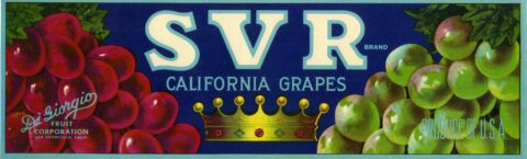 SVR