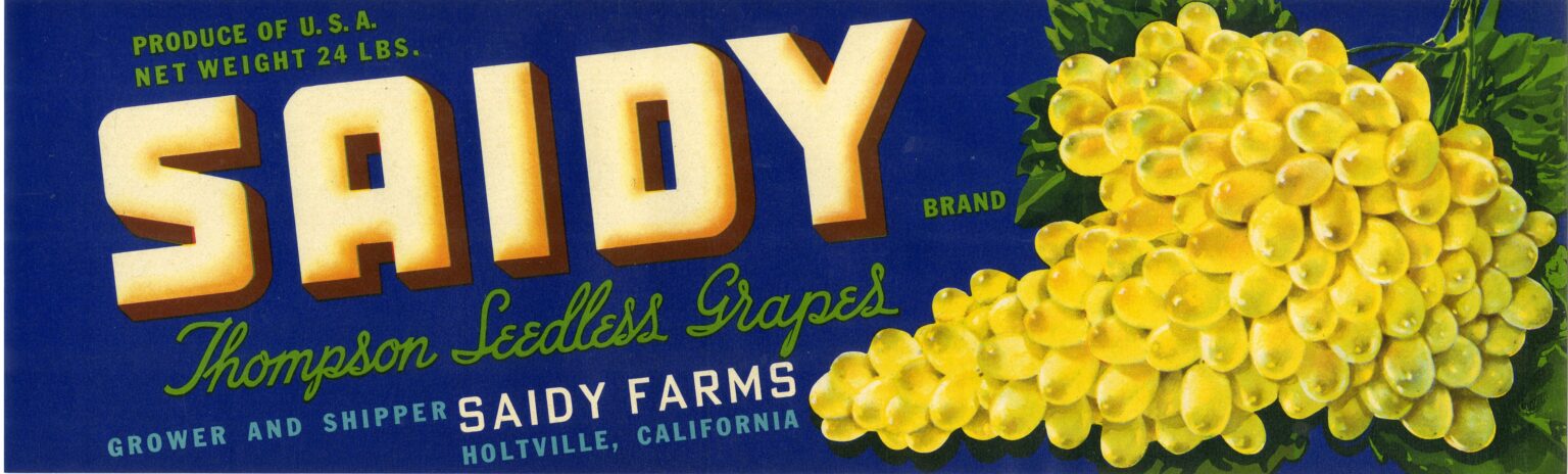 Saidy