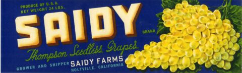 Saidy