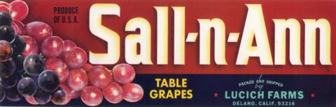 Sall n Ann