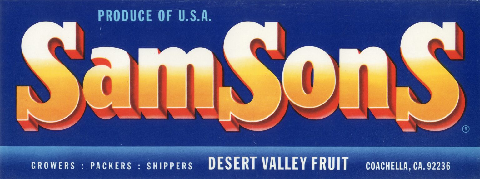 SamSonS SamSonS