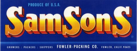 SamSonS