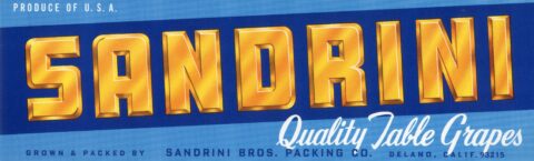 Sandrini