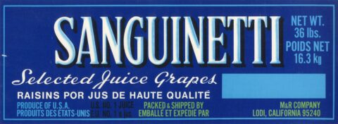 Sanguinetti