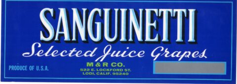 Sanguinetti