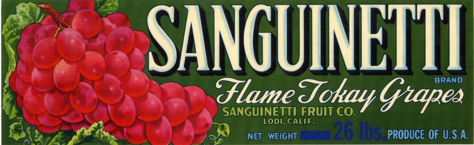 Sanguinetti
