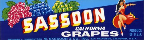 Sassoon