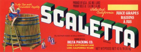 Scaletta
