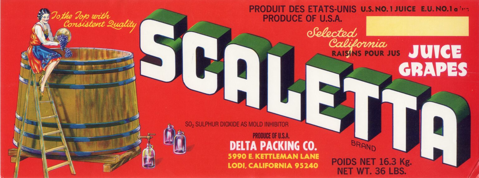 Scaletta