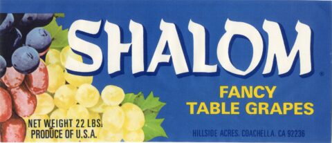 Shalom