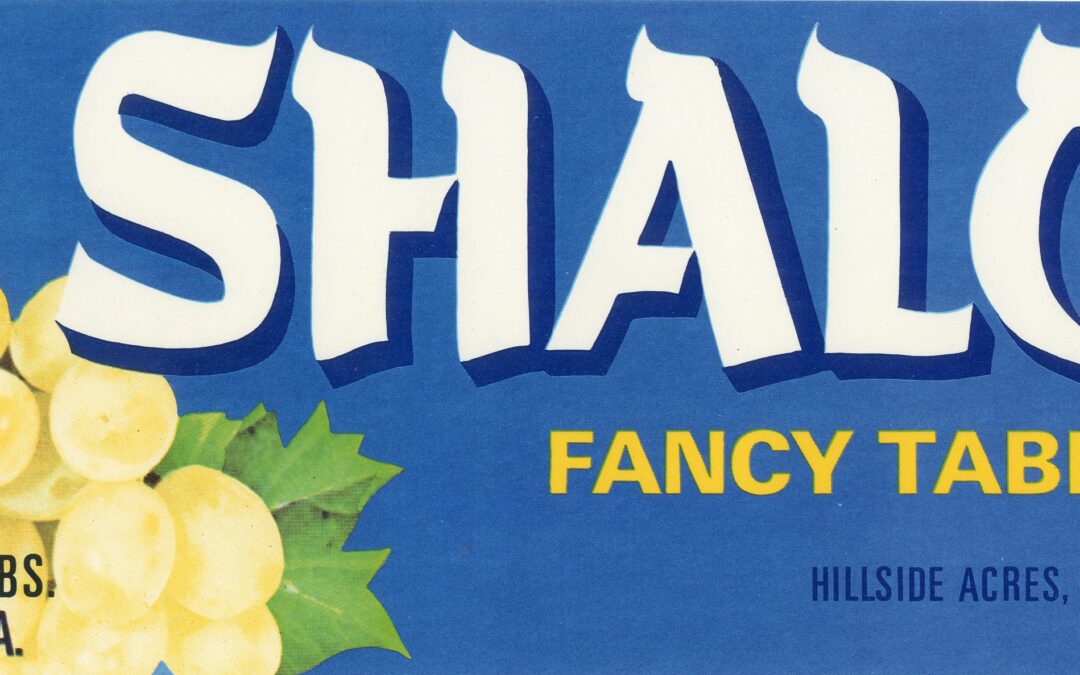Shalom-2