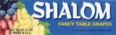 Shalom