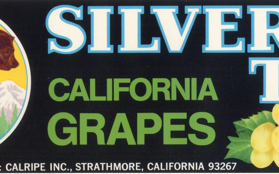 Silver Tip-2