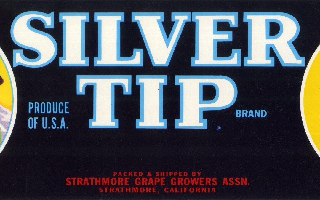 Silver Tip-3