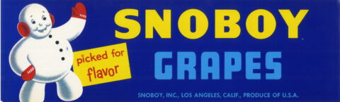 Snoboy