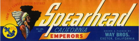 Spearhead