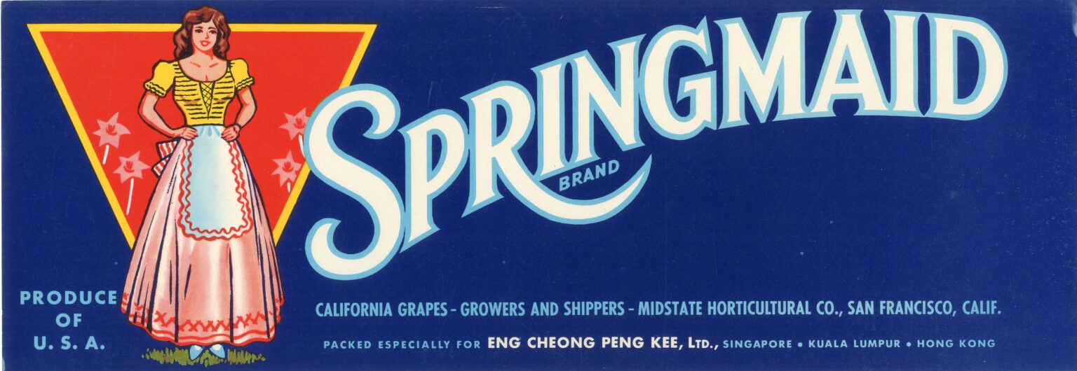 Springmaid