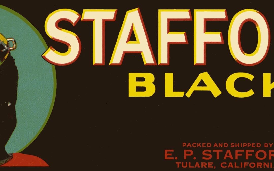 Staffords Blacks-2