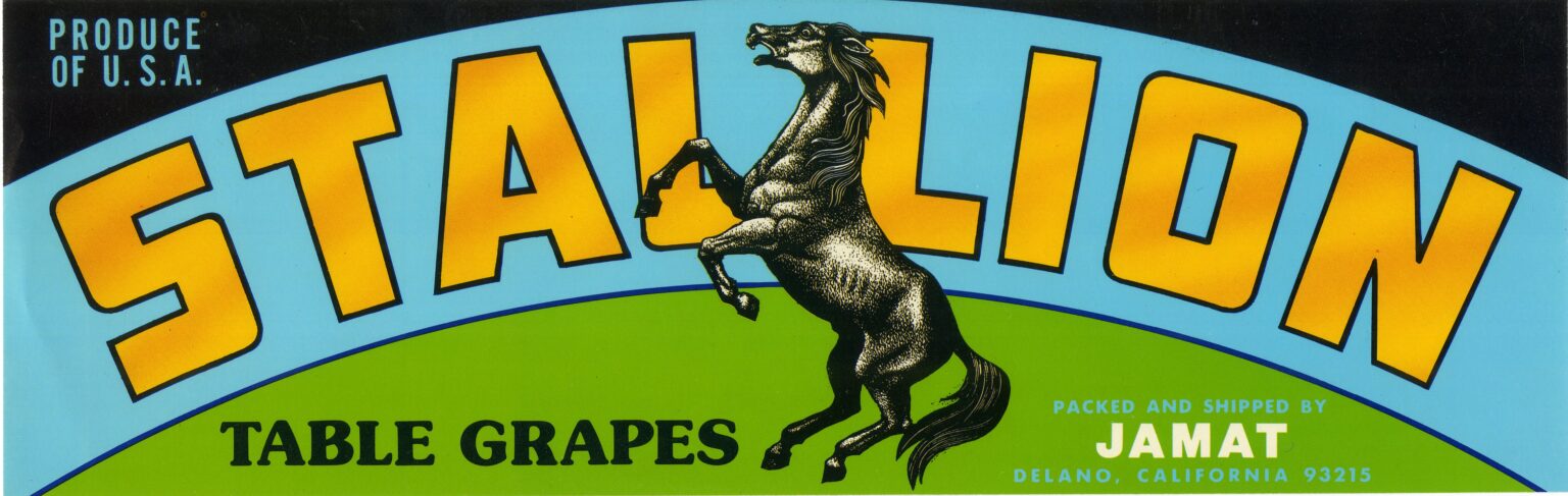 Stallion Stallion