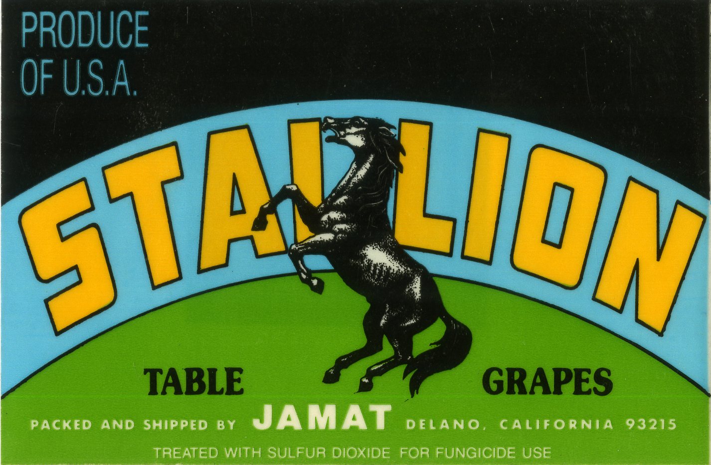 Stallion Stallion