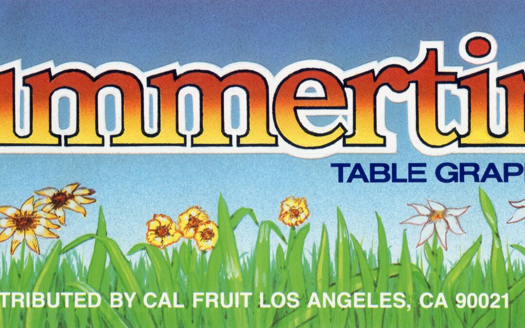 Summertime-1