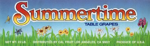 Summertime