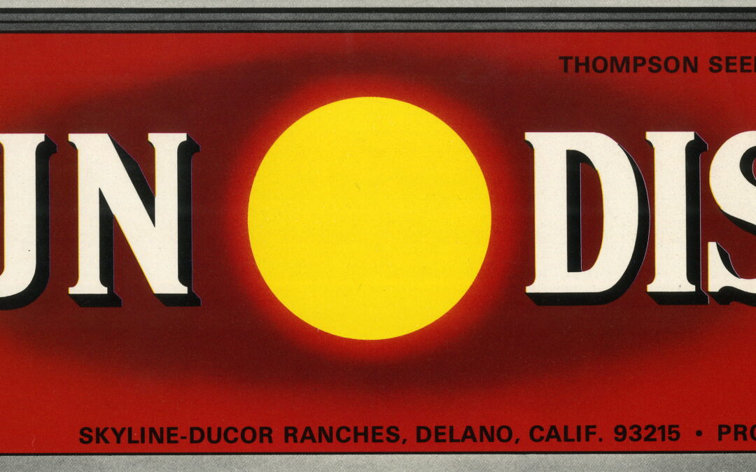 Sun Disk-3