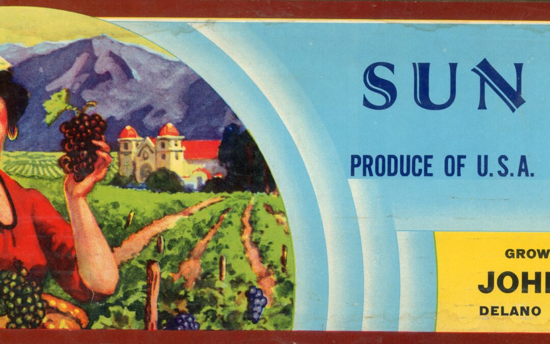 Sun Test-1