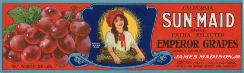 Sun Maid