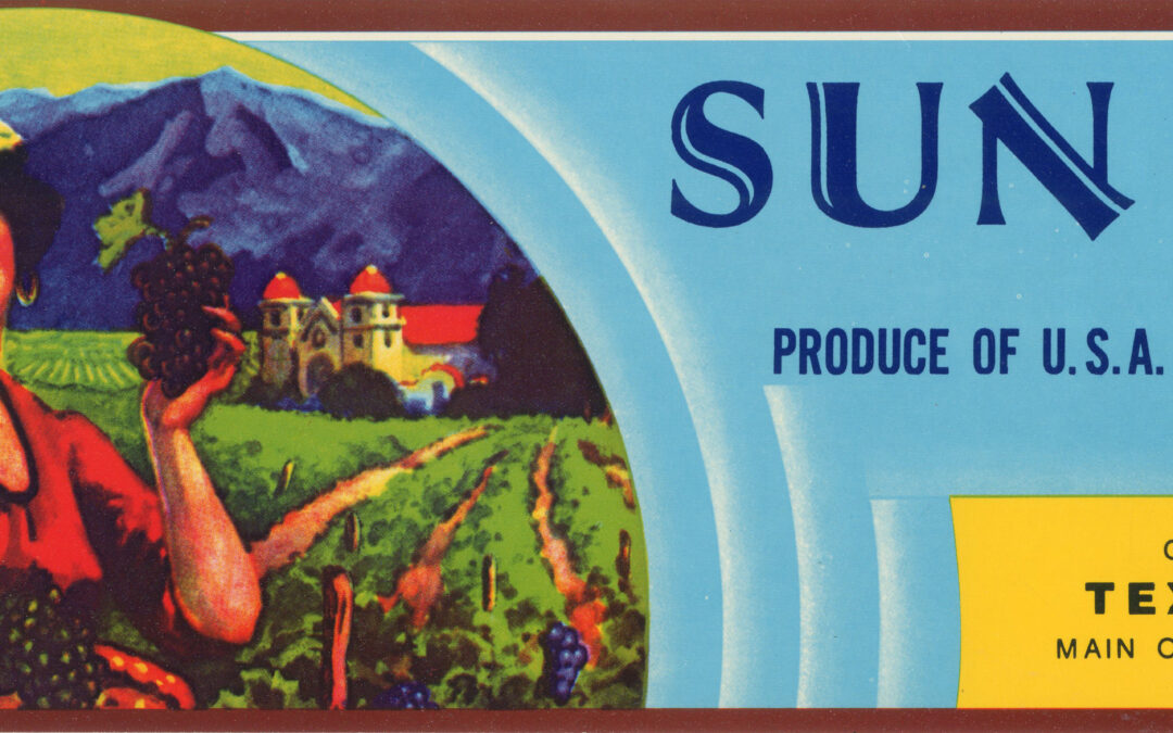 Sun Test-2