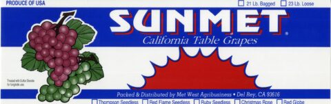 Sunmet