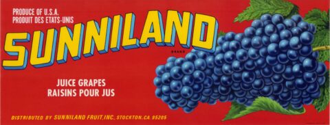 Sunniland