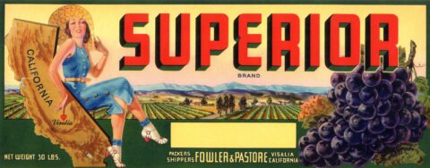 Superior