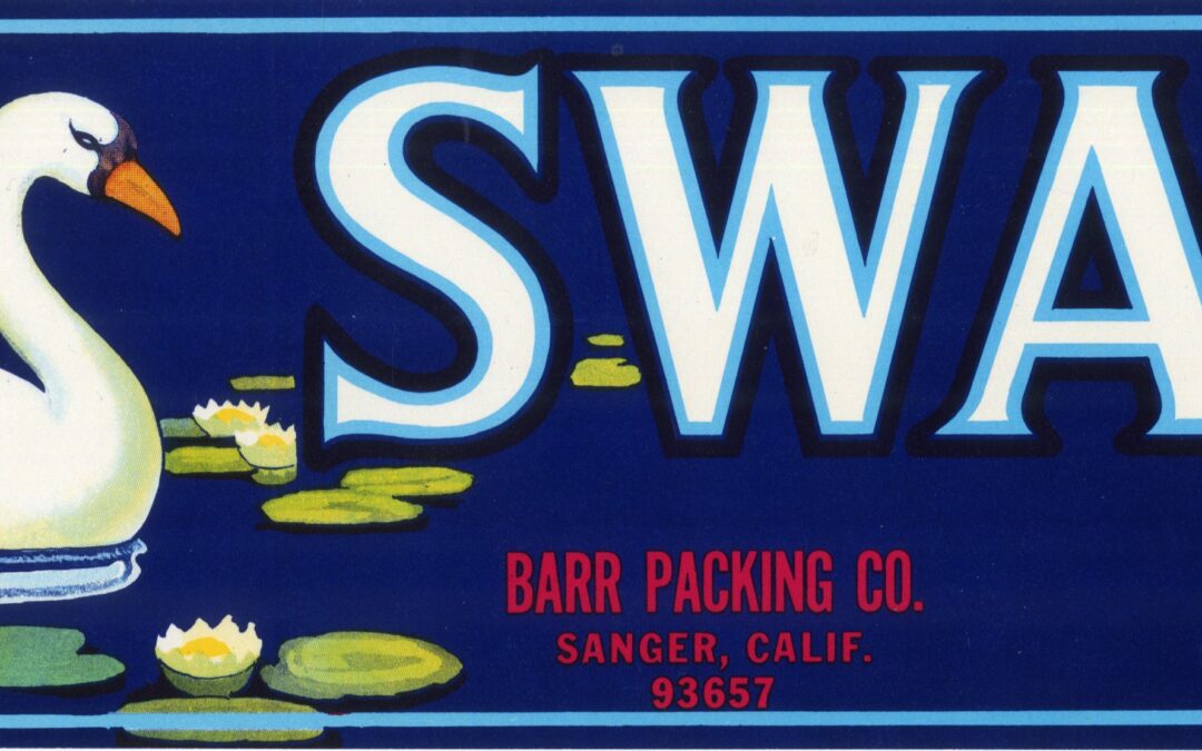 Swan-1
