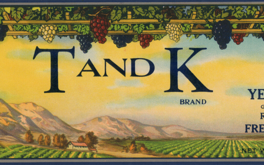 T and K