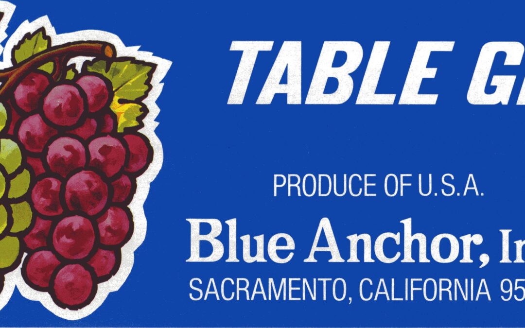 Table Grapes