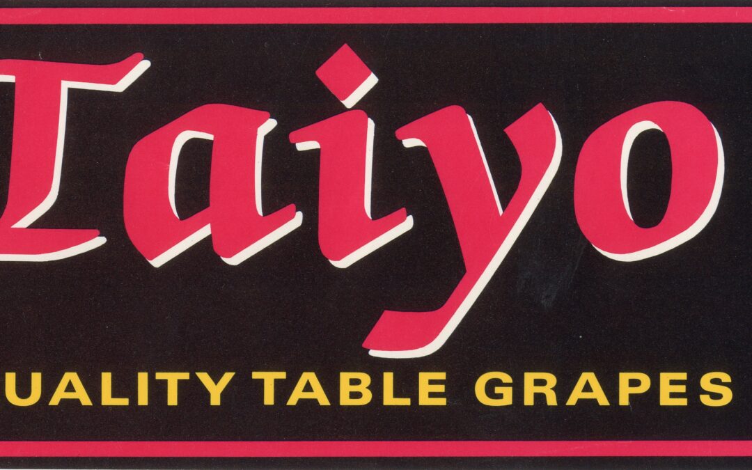 Taiyo