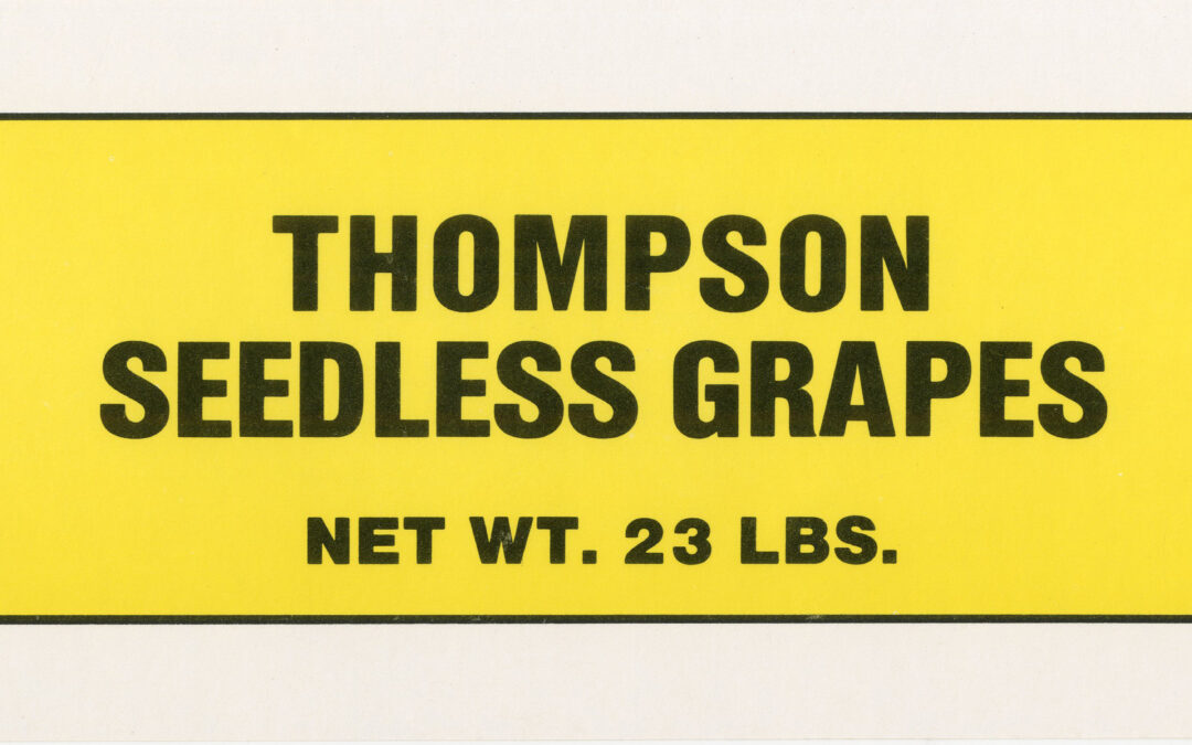 Thompson Seedless Grapes