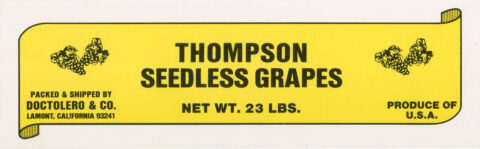 Thompson Seedless Grapes