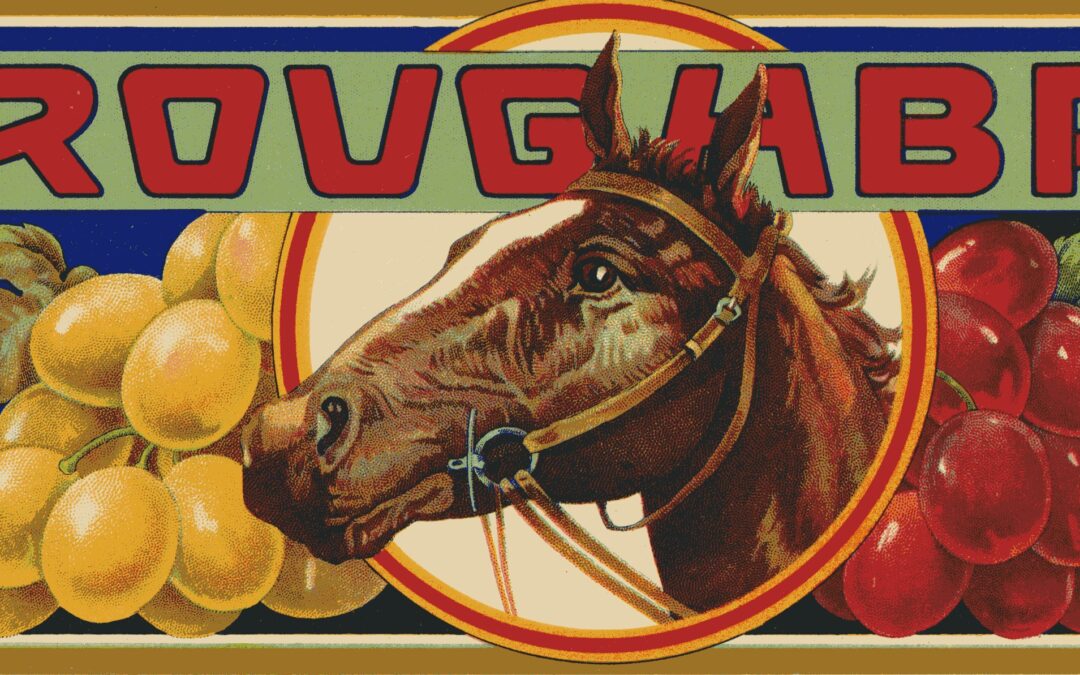 Thoroughbred