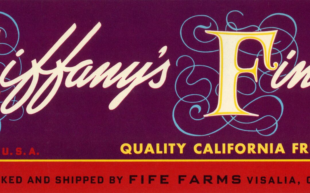 Tiffany’s Finest