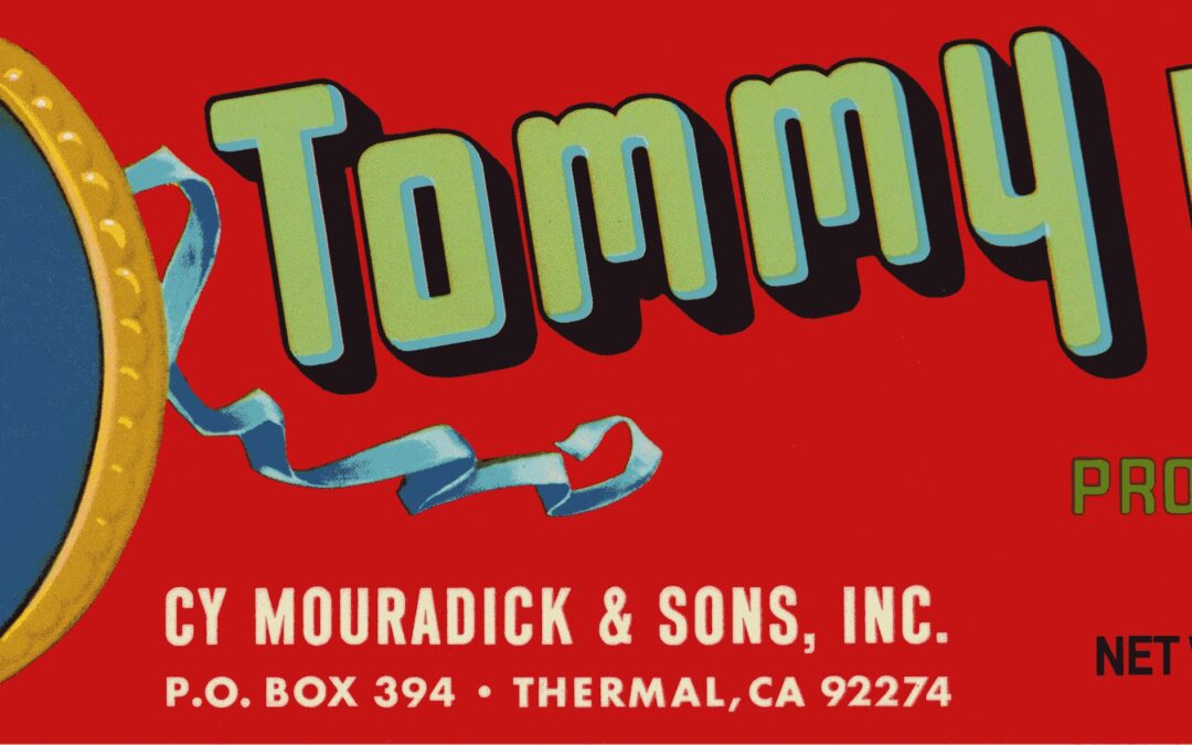 Tommy Boy-1